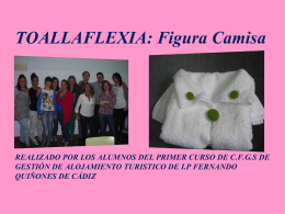 toallaflexia: camisa realizado por los alumnos del primer curso de