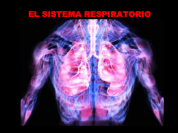 WebQuest_sistema_respiratorio2012