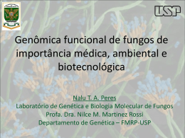 Genômica funcional de fungos de importância médica, ambiental e