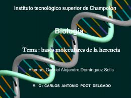 ADN - Instituto Tecnológico Superior de Champotón