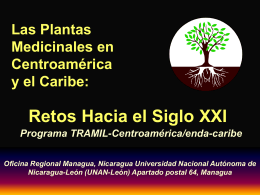 Las Plantas Medicinales en Centroamérica y el Caribe