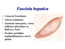 23_Proteasas_de_Fasciola_hepatica