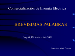 Comercialización de Energía Eléctrica y Asignación de