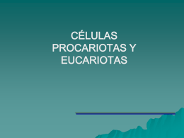celulas_eucariota_y_procariota