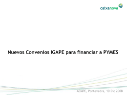 Ponencia Convenios IGAPE-PYMES