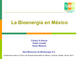 La Red Mexicana de Bioenergía