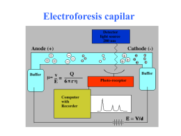Electroforesis capilar (Cristina Taira)