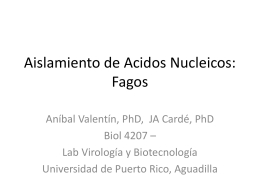 Lab2B_Aislamiento_DNA_Fago