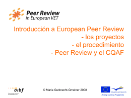 Informe Peer Review