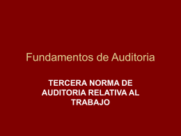 Fundamentos de Auditoria_Nagas del Trabajo