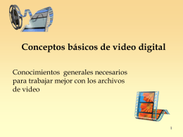 Conceptos basicos Video Digital_b
