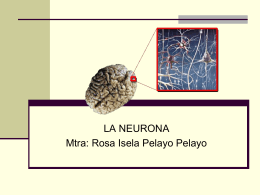 La neurona - Paginas Prodigy