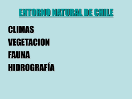 relieves, climas, vegetacion y fauna de Chile