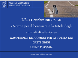 Presentazione di PowerPoint - Regione Autonoma Friuli Venezia