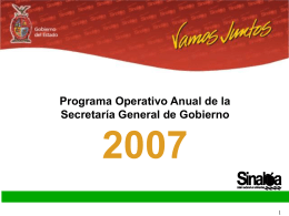 Programa Operativo Anual 2007 - Portal de Acceso a la Información