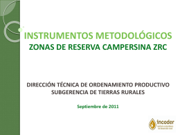 presentacion instrumentos constitucion- zrc