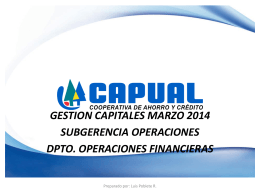 Informe Gestión de Capital Marzo 2014