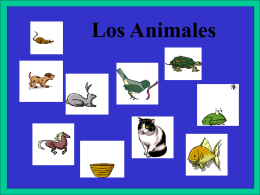 Los Animales - MFL Resources