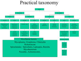 Classification, nomenclature, taxonomy,identification