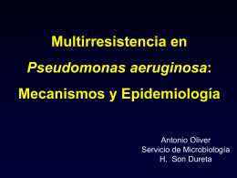 Multirresistencia en Pseudomonas aeruginosa