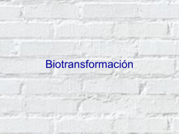 Biotransformación - apuntescientificos.org