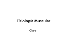 Fisiología Muscular (3948032)