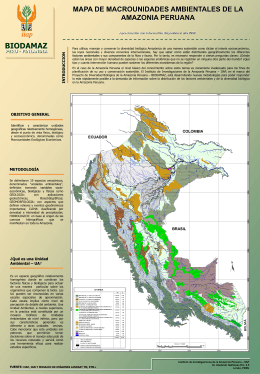 mapa de unidades macrounidades ambientales de la amazonia