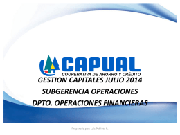 Informe Gestión de Capital Julio 2014