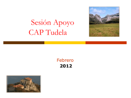 CAP_TUDELA_sesion_Apoyo_feb