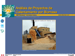 Análisis de Proyectos de Calentamiento por Biomasa