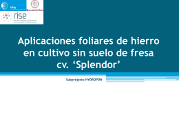 Subprojecto HYDROPON - Universidad de Huelva