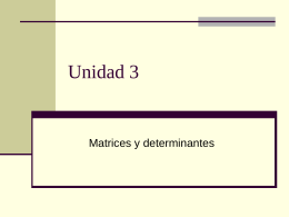 matriz - Matrices-y-Determinantes