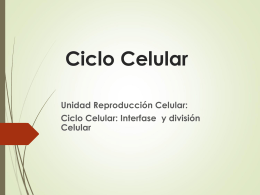 CLASE 3. CICLO_CELULAR