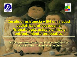 insulino_resistencia.. - Inta