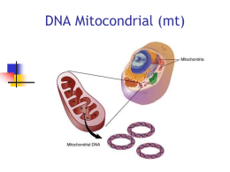 DNAmit_2014 - Genética Molecular