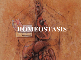 homeostasis-1220758103162693