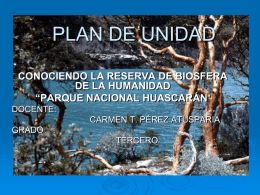 PLAN DE UNIDAD - Parquehuascarancll