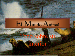 El Mundo Animal - I like the idea