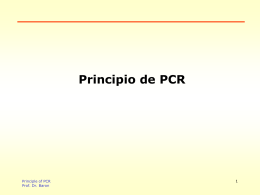 Principio de PCR