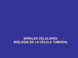 SEMINARIO 13 BIOLOGÍA CELULAR
