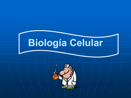 Clase 4 Biología Celular