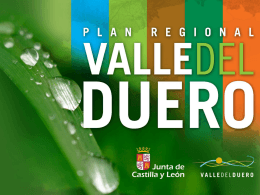 Plan Regional del Valle del Duero