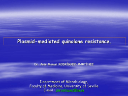 Plasmid-mediated quinolone resistance.