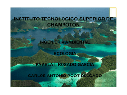 Diapositiva 1 - Instituto Tecnológico Superior de Champotón