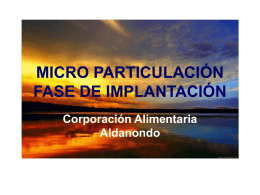 micro particulación fase de implantación