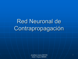 Red Neuronal de Contrapropagación