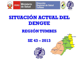 11 ES EXPO_situacion_dengue_2009_2013_SE43