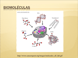 Biomoleculas_2