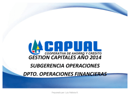 Informe Gestión de Capital Febrero 2014