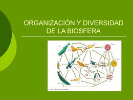 organización y diversidad de la biosfera